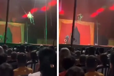 Imagem ilustrativa da imagem Trapezista sofre queda e atinge plateia durante apresentação de circo no TO