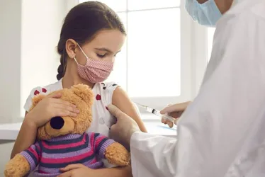 Imagem ilustrativa da imagem Vacina contra dengue vai ser distribuída antes do Carnaval