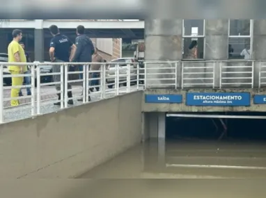 Jacaré foi capturado por moradores