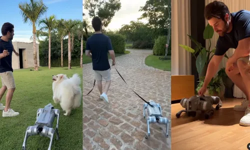 
          Imagem ilustrativa da imagem Alok mostra novo integrante da família: 'Agora somos 6', diz
          