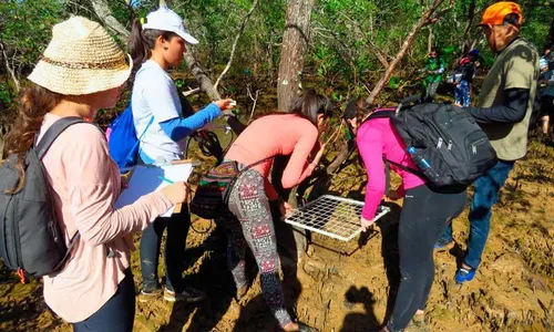 
          Imagem ilustrativa da imagem Aracruz tem shows de graça até o Carnaval
          