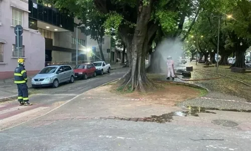 
          Imagem ilustrativa da imagem Ataque de abelhas deixa dois feridos durante bloco em BH
          