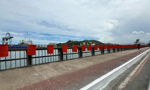 
          Imagem ilustrativa da imagem Blocos na rua a partir das 10 horas neste sábado. Veja a programação
          