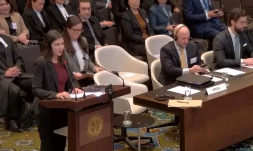 
          Imagem ilustrativa da imagem Brasil pede à Corte que declare ilegal ocupação israelense na Palestina
          