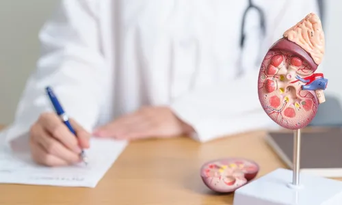 
          Imagem ilustrativa da imagem Brasil tem 38.908 pessoas na fila de espera por um transplante de rim
          