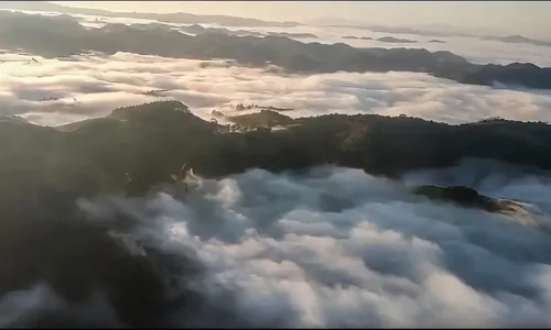 
          Imagem ilustrativa da imagem Buscas por helicóptero desaparecido em São Paulo chegam ao oitavo dia
          