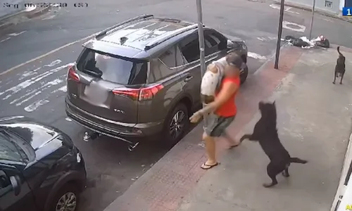 
          Imagem ilustrativa da imagem Cães rottweilers atacam homem que passeava com cachorro na Praia do Suá
          