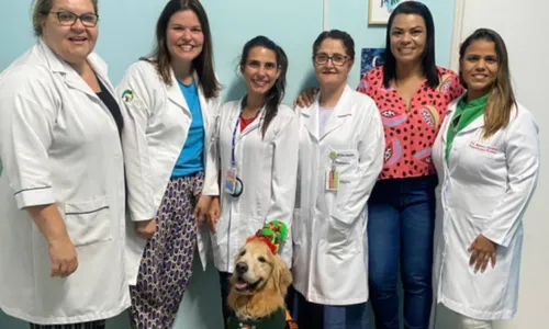 
          Imagem ilustrativa da imagem "Cãoterapeuta" visita crianças internadas no Hospital Infantil de Vitória
          