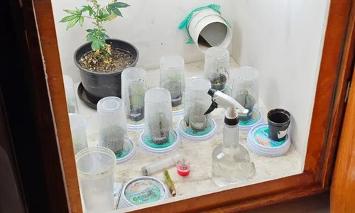 
          Imagem ilustrativa da imagem Carteiro é investigado por suspeita de tráfico de drogas pelos Correios no ES
          