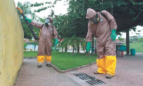 
          Imagem ilustrativa da imagem Casos de dengue aumentam 813% em um ano no ES
          