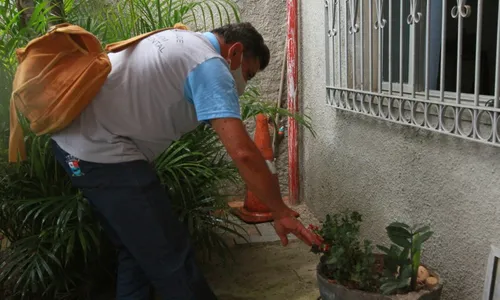 
          Imagem ilustrativa da imagem Casos de dengue no ES chegam a 8.534 somente em janeiro
          