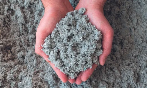 
          Imagem ilustrativa da imagem Celulose produzida no Espírito Santo chega a 18 países
          