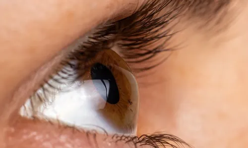 
          Imagem ilustrativa da imagem Central registra alta de transplantes em Pernambuco
          