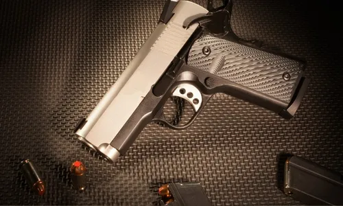 
          Imagem ilustrativa da imagem Comissão da Câmara autoriza estados a legislarem sobre armas
          