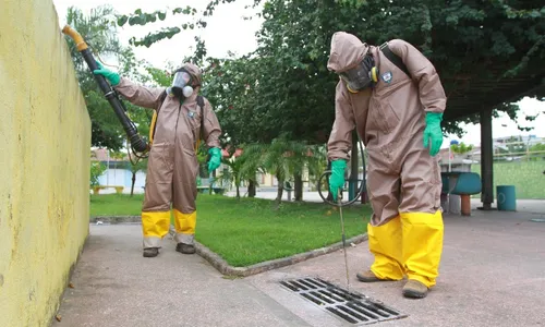 
          Imagem ilustrativa da imagem Confirmada a primeira morte por dengue em 2024 no ES
          