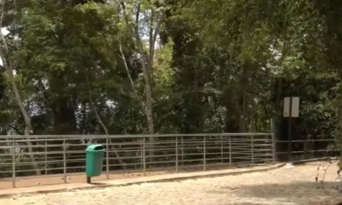 
          Imagem ilustrativa da imagem Corpo é encontrado em área de mata em morro de Vitória
          