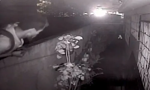 
          Imagem ilustrativa da imagem Criminoso invade casa, rouba churrasqueira elétrica e até cerveja em Vila Velha
          