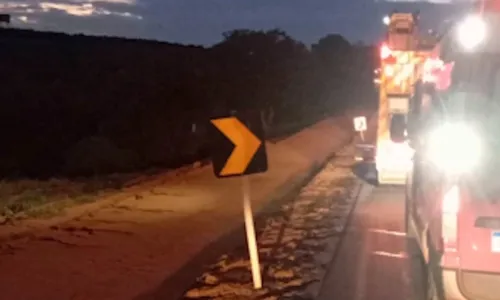 
          Imagem ilustrativa da imagem Dois idosos morrem e criança fica ferida após acidente e ataque de abelhas no ES
          