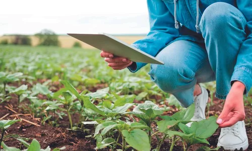 
          Imagem ilustrativa da imagem Enem dos concursos terá vagas no Espírito Santo e em Minas Gerais
          