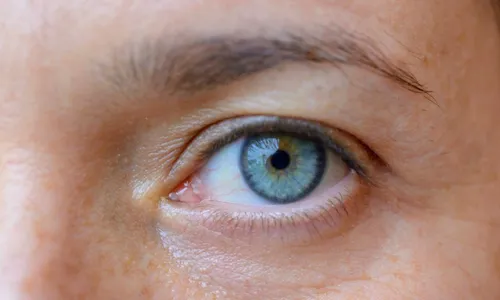 
          Imagem ilustrativa da imagem Estudo sugere diagnóstico de autismo a partir de imagens da retina com IA
          