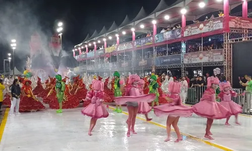 
          Imagem ilustrativa da imagem Fantasias luxuosas vão brilhar no Sambão do Povo neste sábado
          