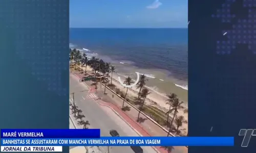 
          Imagem ilustrativa da imagem Fenômeno natural: 'Maré Vermelha' traz preocupação para banhistas em Boa Viagem
          