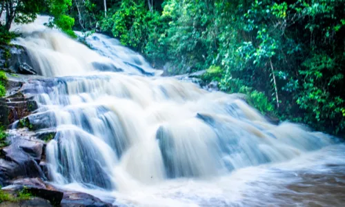 
          Imagem ilustrativa da imagem Gravatá, a Suíça pernambucana, lança programação para atrair turistas no verão
          