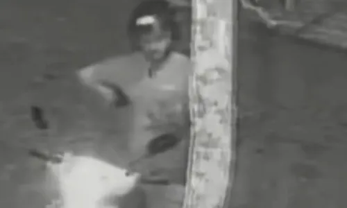 
          Imagem ilustrativa da imagem Guarda civil é afastado por suspeita de matar seu cachorro no litoral de SP
          