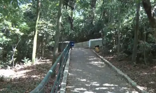 
          Imagem ilustrativa da imagem Homem é flagrado se masturbando na ladeira do Convento da Penha
          