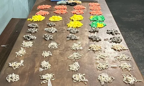 
          Imagem ilustrativa da imagem Homem é preso ao fazer entrega de mais de mil pedras de crack no ES
          