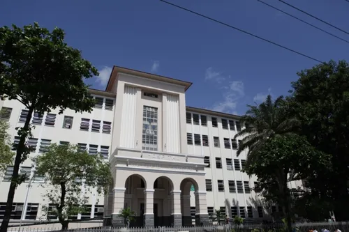 
          Imagem ilustrativa da imagem Hospital Getúlio Vargas registra três novos casos de "superfungo"
          