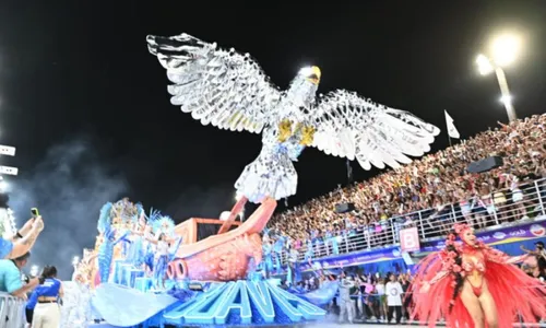 
          Imagem ilustrativa da imagem Independente de Boa Vista apresenta uma "Viana Divinamente Brasileira" na avenida
          