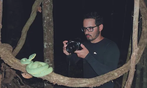 
          Imagem ilustrativa da imagem Jararaca ameaçada de extinção é vista no Espírito Santo
          