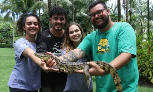 
          Imagem ilustrativa da imagem Jayminho, o jacaré resgatado no pátio de um hospital da Serra
          
