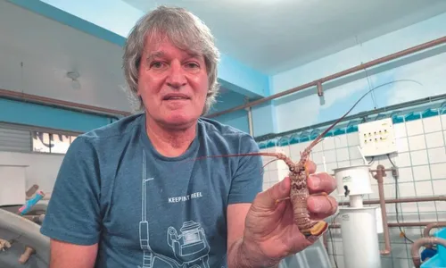 
          Imagem ilustrativa da imagem Lagostas capixabas vivas são exportadas para China
          