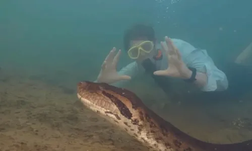 
          Imagem ilustrativa da imagem Maior sucuri do mundo na Amazônia
          