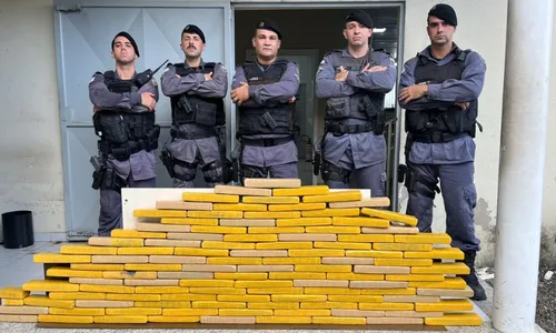 
          Imagem ilustrativa da imagem Mais de 100 tabletes de maconha são apreendidos pela PM em Linhares
          