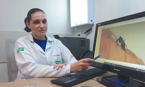 
          Imagem ilustrativa da imagem Mais de mil casos de zika e chikungunya só este ano no ES
          