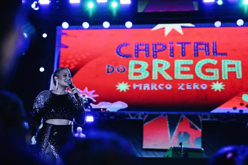 
          Imagem ilustrativa da imagem Marco Zero teve noite de frevo,  pop nacional e o típico brega recifense
          