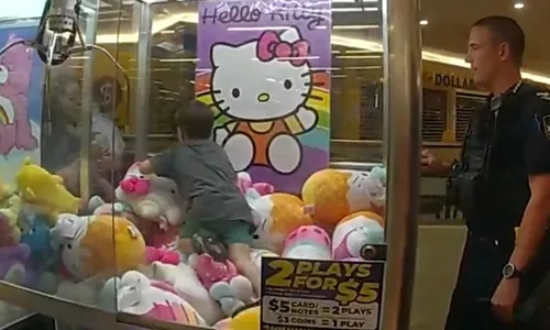 
          Imagem ilustrativa da imagem Menino de 3 anos fica preso em máquina de pegar pelúcias na Austrália
          