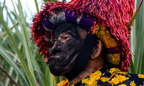 
          Imagem ilustrativa da imagem Mestre Martelo imortalizado em lançamento de livro "Mateus de uma vida inteira"
          