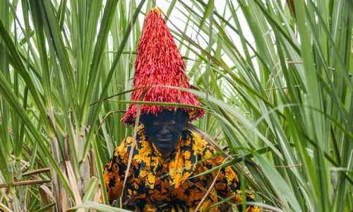 
          Imagem ilustrativa da imagem Mestre Martelo imortalizado em lançamento de livro "Mateus de uma vida inteira"
          