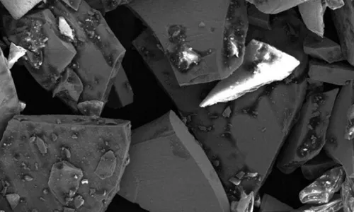 
          Imagem ilustrativa da imagem Minas Gerais vai produzir o “ouro do futuro” a partir de abril de 2024
          