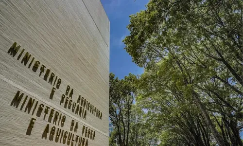 
          Imagem ilustrativa da imagem Ministério da Pesca e Aquicultura terá concurso para 264 temporários
          