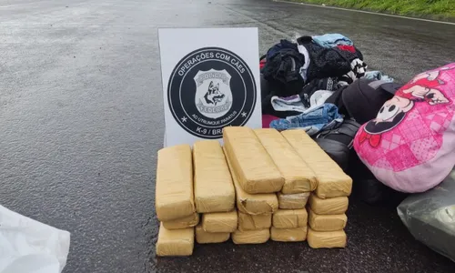 
          Imagem ilustrativa da imagem Mulher é presa com 18 tabletes de maconha dentro de mala em ônibus na BR-101 no ES
          