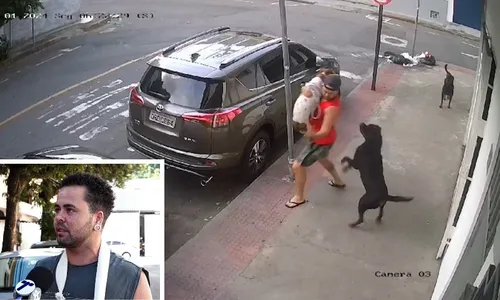 
          Imagem ilustrativa da imagem Multa para donos que deixam cães soltos pode passar de R$ 1 mil
          