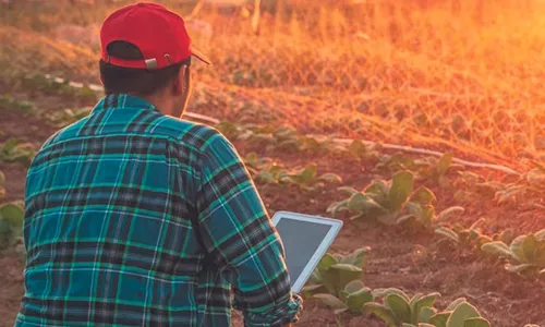 
          Imagem ilustrativa da imagem Novas opções para ter internet no campo
          