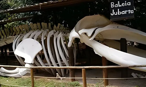 
          Imagem ilustrativa da imagem Paraíso dos surfistas no Norte do Estado
          