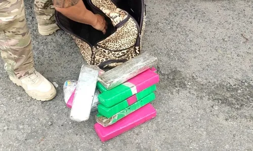 
          Imagem ilustrativa da imagem Passageiro é flagrado com maconha e haxixe em ônibus de viagem na BR-101 no ES
          