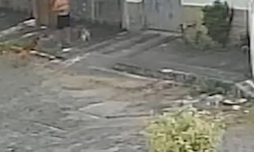 
          Imagem ilustrativa da imagem Pastor-belga ataca e mata cadela da raça shih-tzu em Vila Velha
          